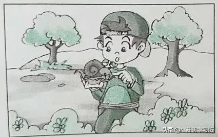 寒假专项训练一二三年级看图写话,开学整理书包看图写话