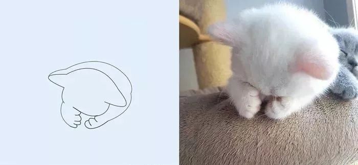 你和大触绘画的区别：一看就会一画就废，这波动物简笔画太形象了