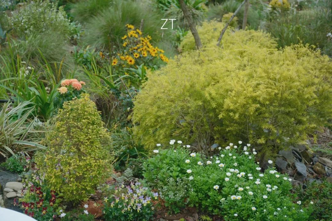 90后男孩住进郊区老屋，徒手打造400㎡自然花园，里面装满小精灵