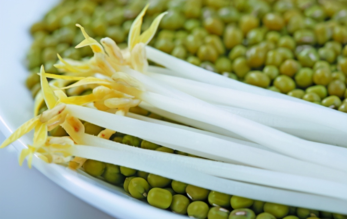 学会这个方法再也不用买豆芽了,豆芽不用买用塑料瓶就能发豆芽