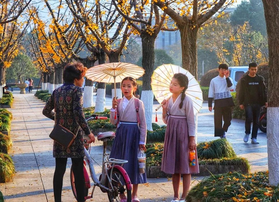 温州茶山大学城的银杏林变黄了，相约一起拍美照吧