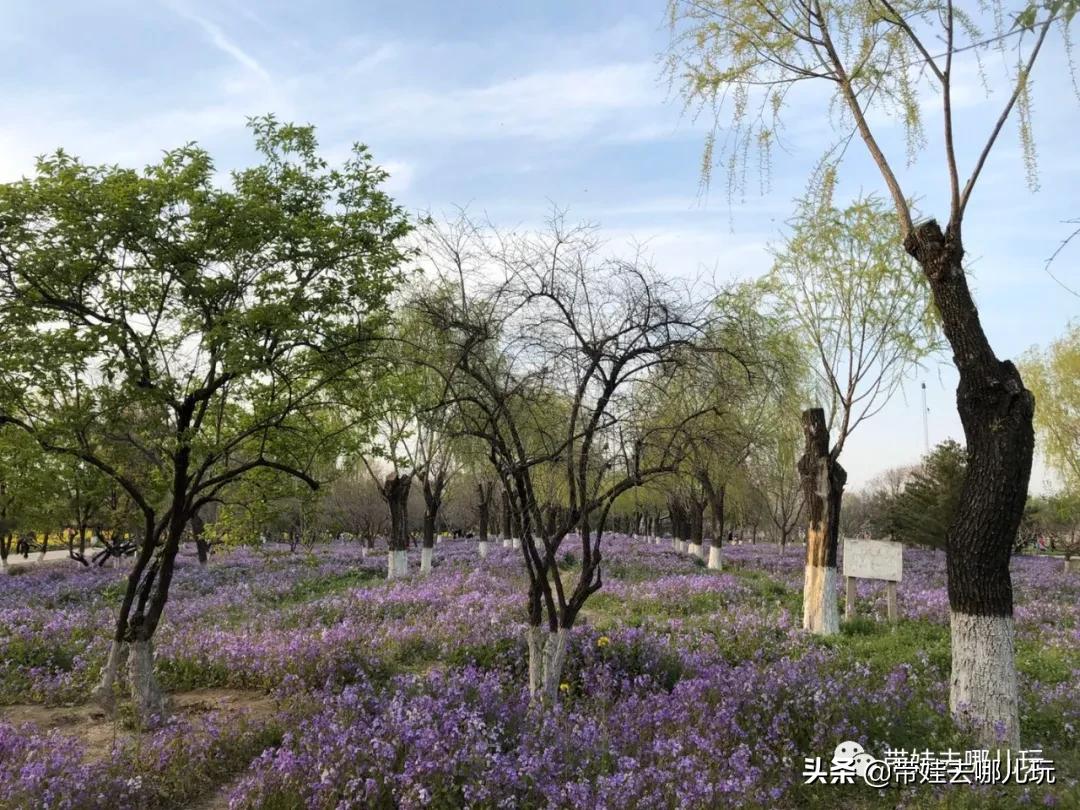 带娃周边3-4天自由行攻略,又到周末要带娃