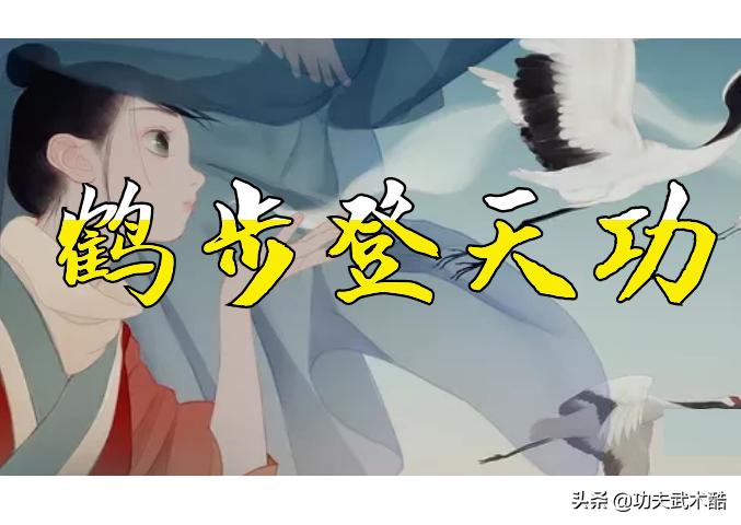 金刚功之长寿功全集,金刚禅功效果