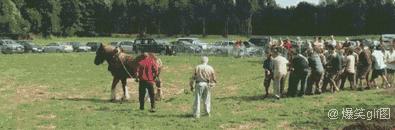 一马力是多少功率,一匹马力是多大的力