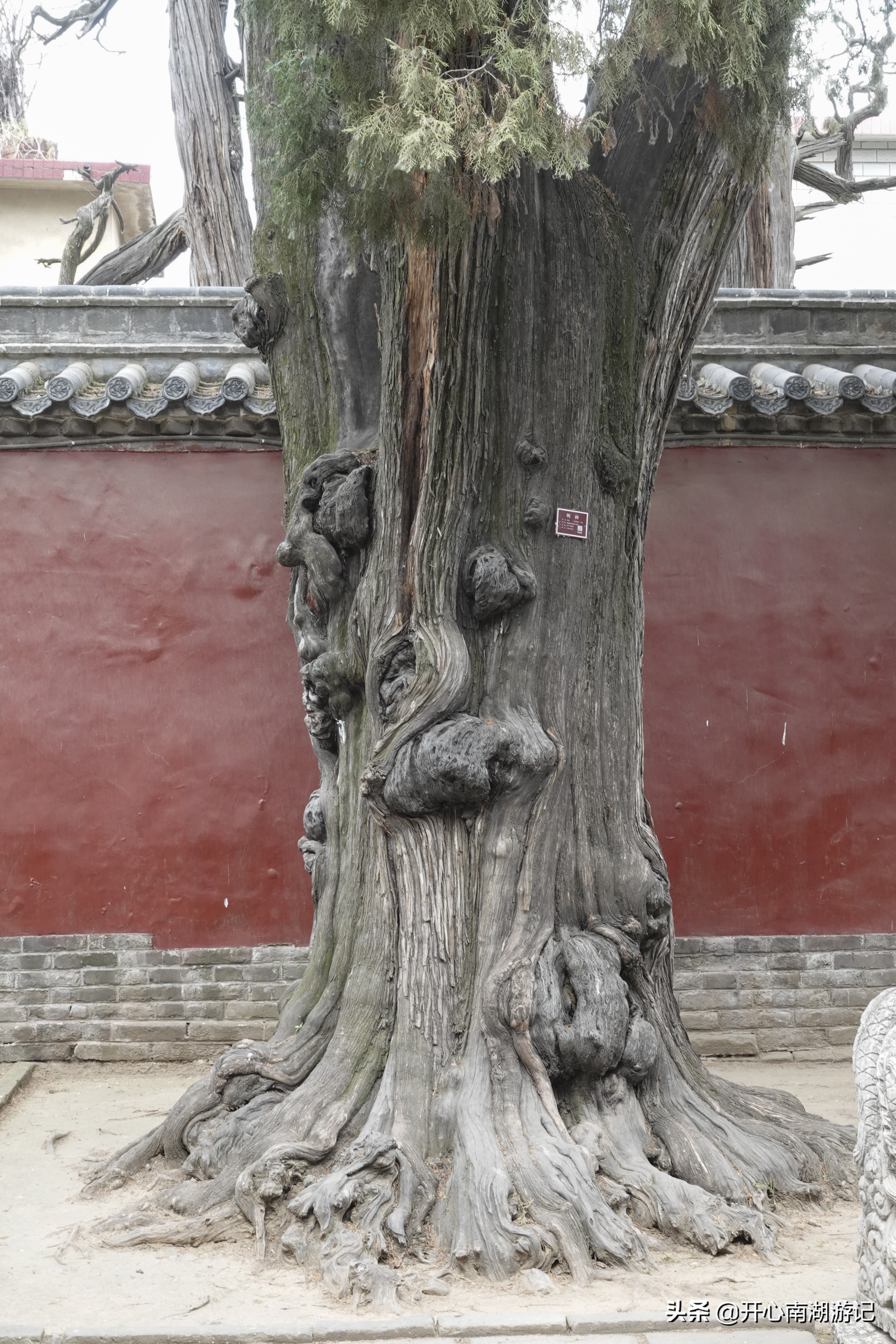 去孔府孔庙孔林可以承担的任务,孔府孔庙孔林的故事和传说