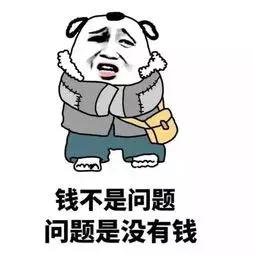 羽绒被鹅绒被哪个牌子实惠又好,鹅绒羽绒被95%与90%哪个好