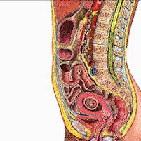 怀孕了一生气肚子就气鼓鼓的,孕期肚子老是鼓起来