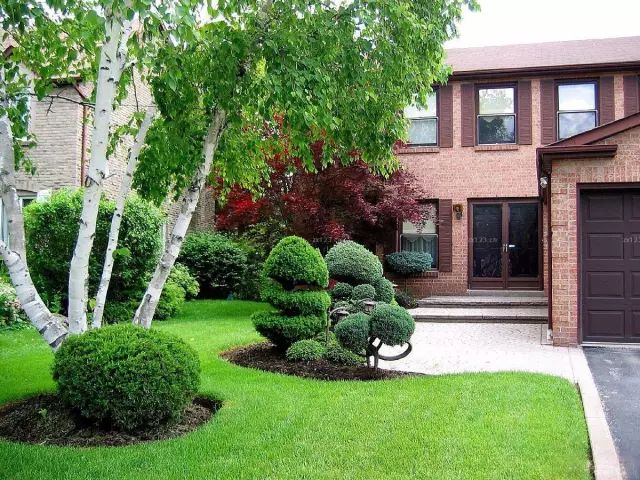 楼顶草坪花园设计效果图,花园草坪养护问题的成果概述