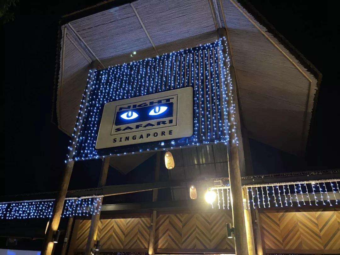 疫情期间去埃及旅游的亲历,疫情期间从深圳直飞洛杉矶体验