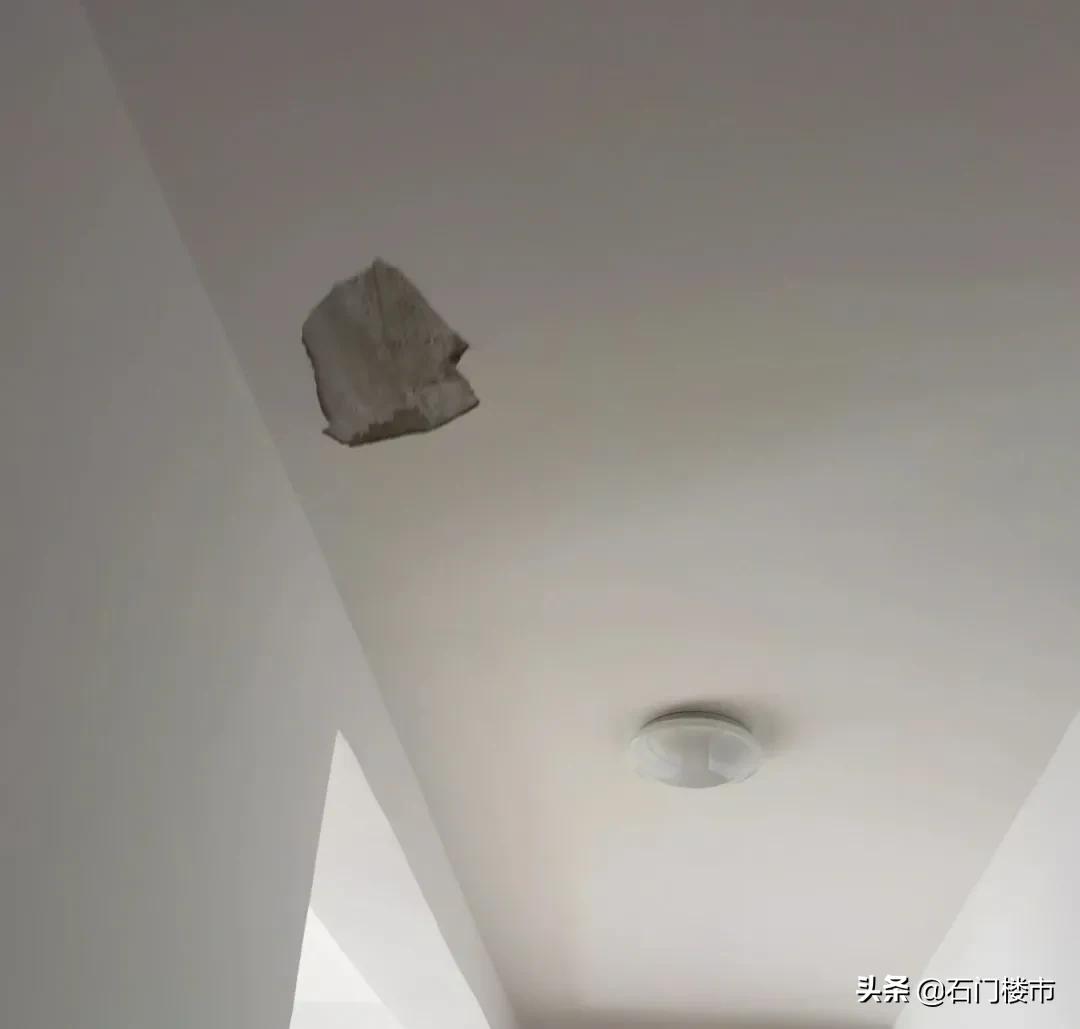 实探现场,实探日本果园