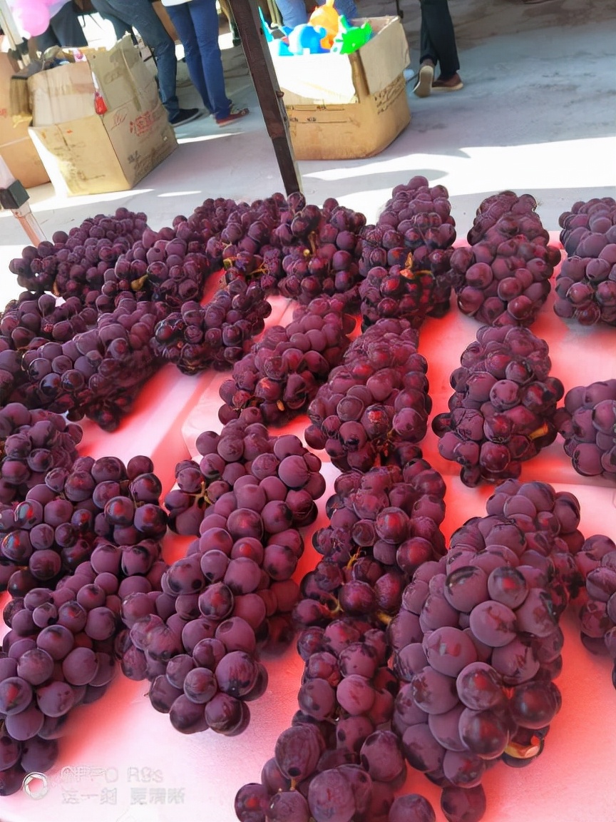 四川姑娘在新疆的生活日常,四川姑娘在南疆记录美好生活