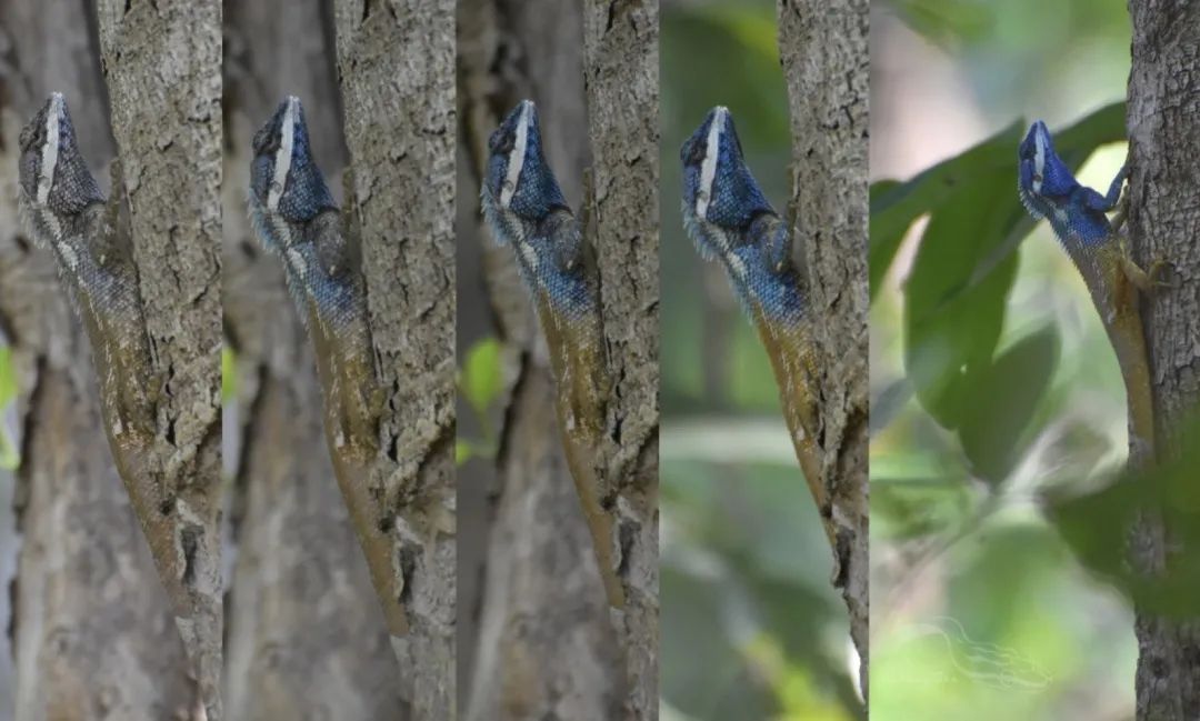 它是蓝颜祸水还是蓝颜薄命,都与你我有关