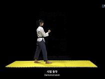 跆拳道侧踢教学方法,跆拳道侧踢教学最快方法