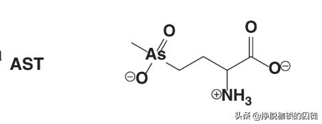 中医药为人类健康服务,中医药造福人类