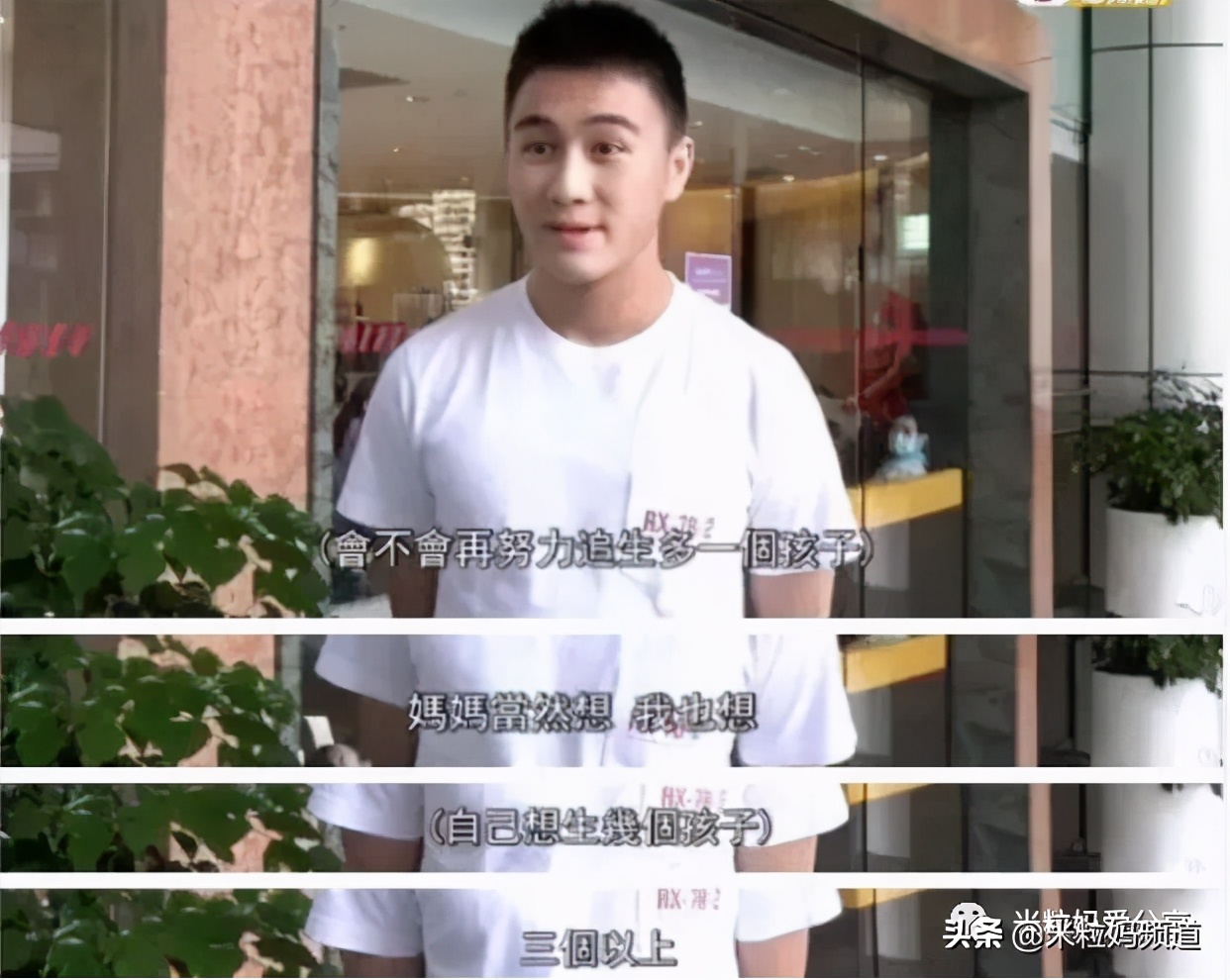 向太称郭碧婷答应生三个孩子,向太称郭碧婷要三胎