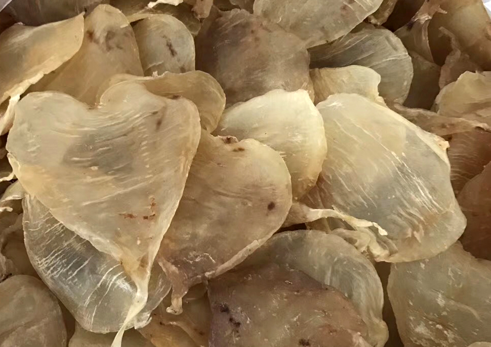 印度产哪些鱼胶,哪些鱼胶不建议买