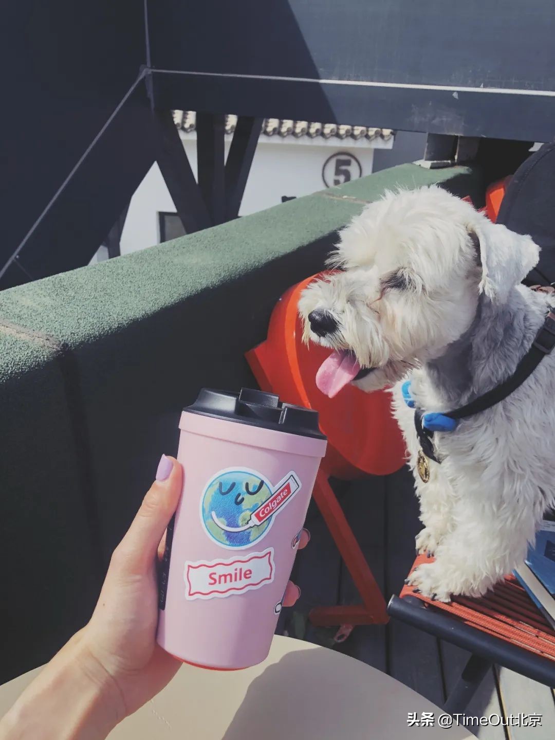 贪恋帝都咖啡香，只想沉浸在这7家新晋咖啡馆里