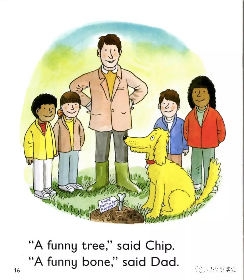 newtrees牛津英语绘本,牛津树第二级英文绘本