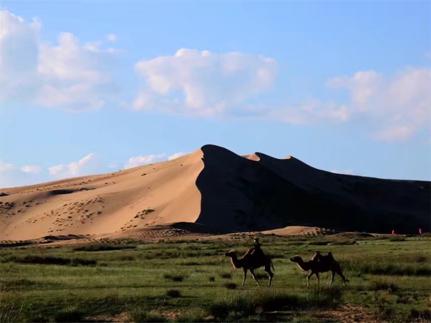 重温刀郎西海情歌,盘点刀郎西海情歌