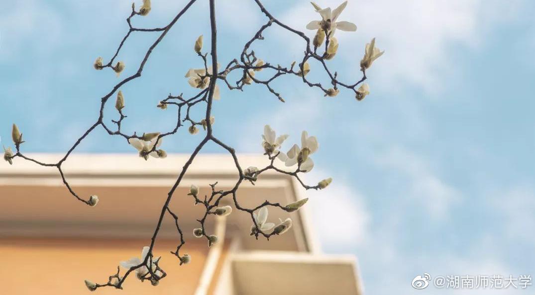 这所大学坐拥两个5A景区！在里面读书是什么体验