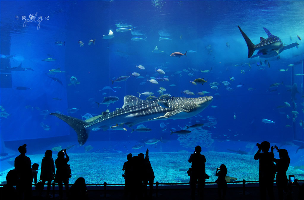 不只爱情演唱会,不只爱情粤语高潮版