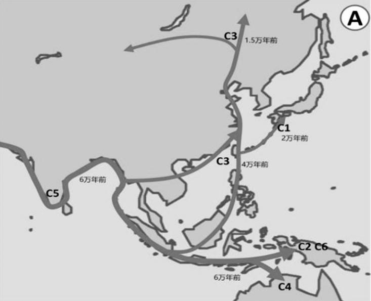 日本统治时期的东北为什么更好,为什么说日本的祖先是福建人