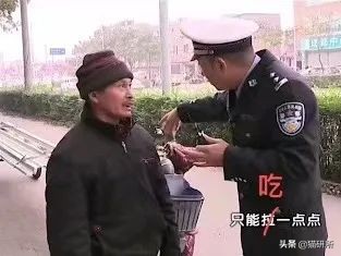 猫为啥爱吃植物,猫爱吃鸡肉还是虾肉