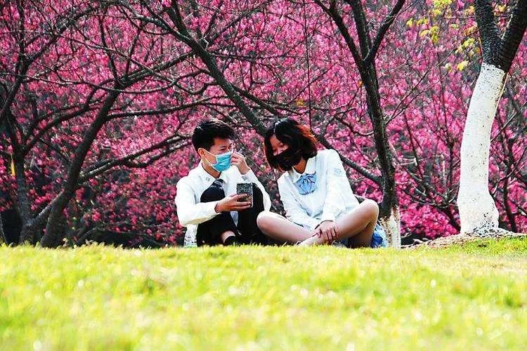 天津北辰郊野公园开放最新通知,天津都有哪些公园随时免费开放