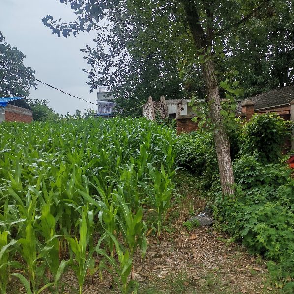 记忆中的安徽农村,安徽农村最落后的地方