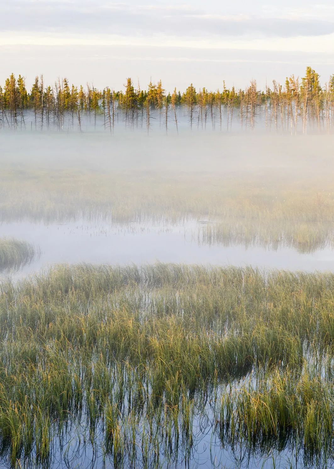 中华第一车:全程6天5夜,单程超6000元仍一票难求