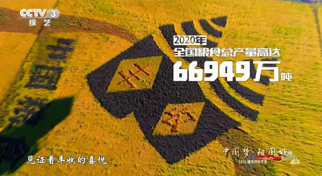 我爱你中国看电影,我爱你中国观影感受