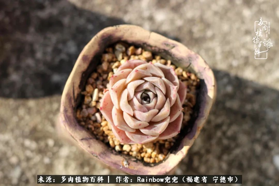 岁月无波澜余生不悲欢是啥意思,愿你岁月无波澜敬我余生无悲欢