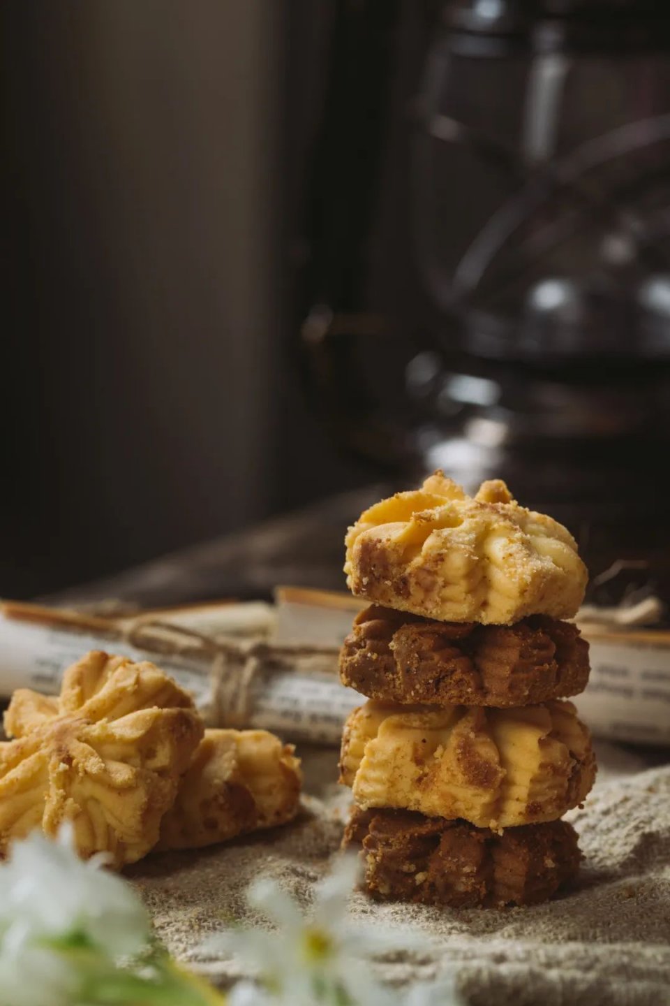 网红小熊曲奇,网红小熊曲奇最新视频