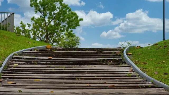 有哪些好玩的地方适合儿童深圳,深圳适合小朋友玩的8个免费景点