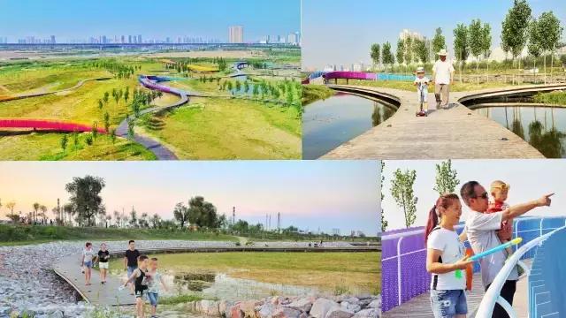 咸阳3号桥河堤路南岸湿地公园,咸阳太平镇孙家堡湿地公园