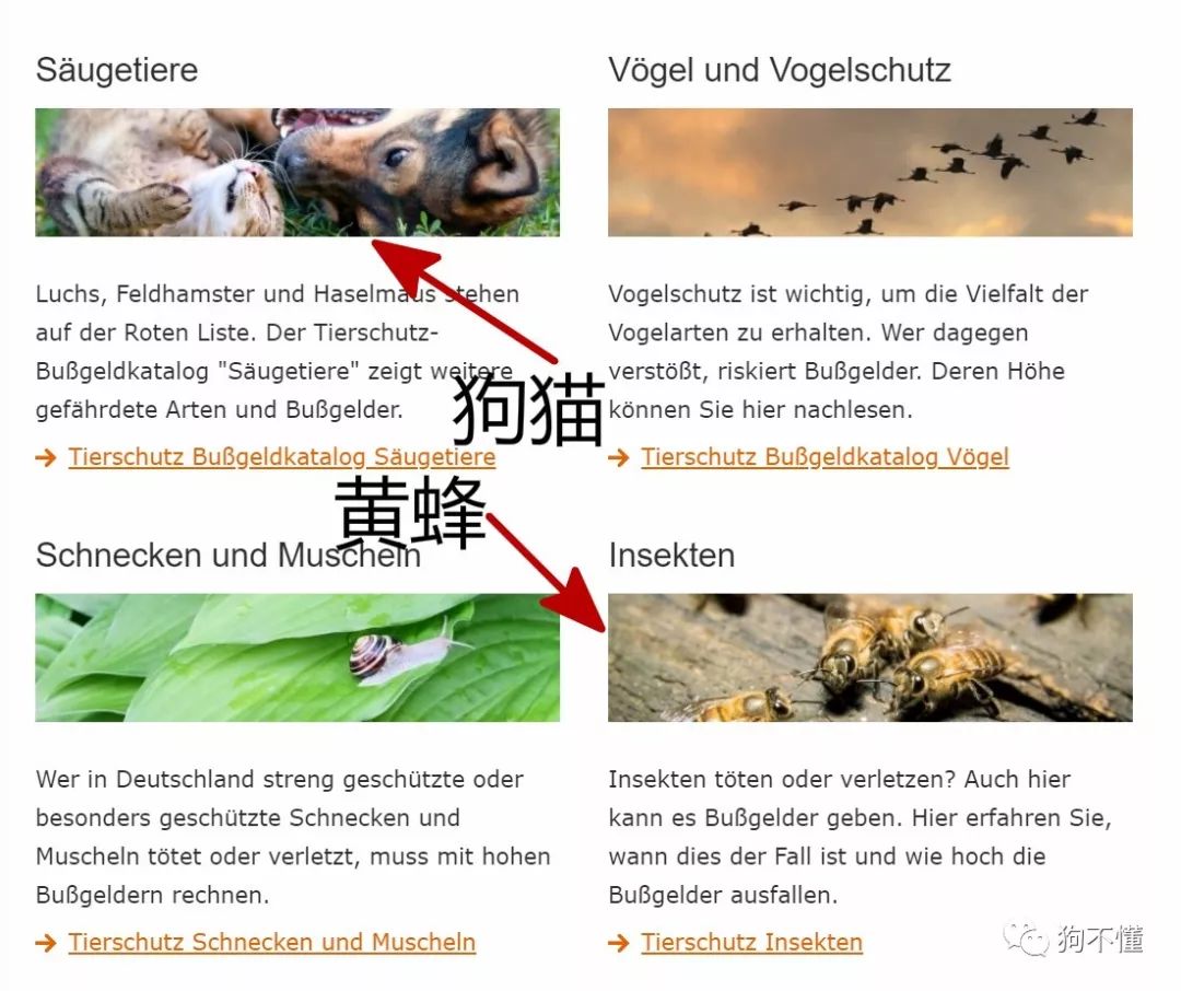 现在国家有没有动物保护法,2022年各国动物保护法