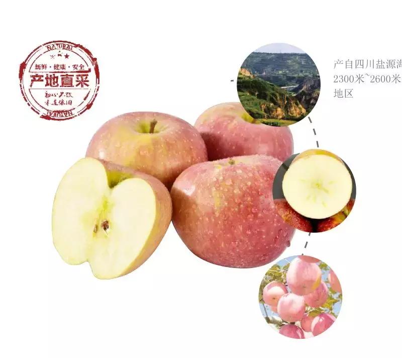 卜蜂莲花在哪啊,卜蜂莲花感恩日几点开门