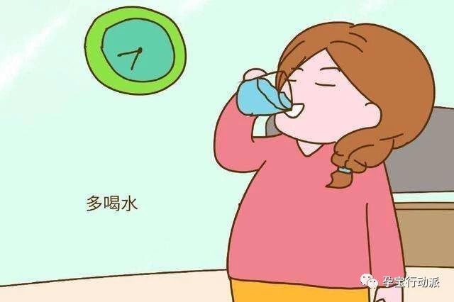 孕期周刊第二十九周,孕期周刊第14周