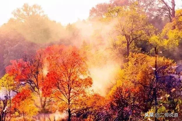 婺源篁岭油菜花摄影,婺源的秋天简直把摄影师逼疯