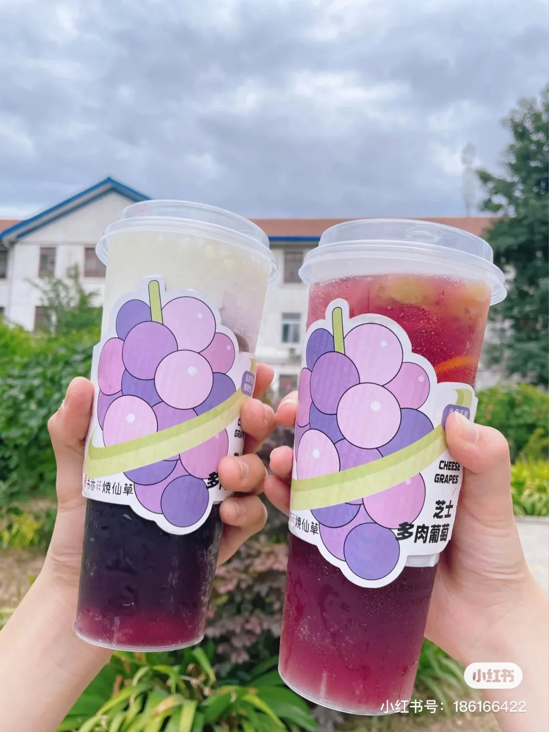 喜茶最多肉葡萄全名叫什么,喜茶多肉葡萄和纯多肉葡萄的区别