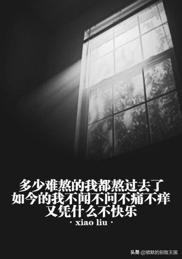 跪网络用语,网络用语舔什么意思