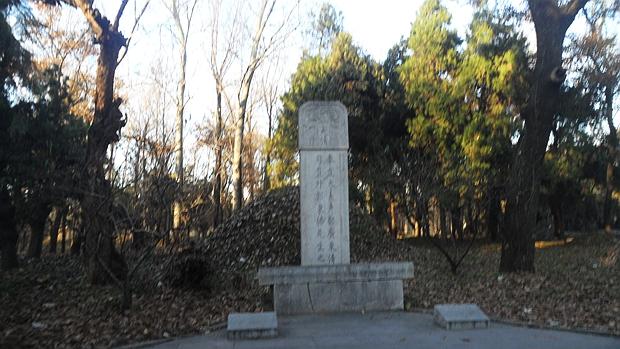 孔林是最大的氏族墓地吗,孔林各个时代的墓葬