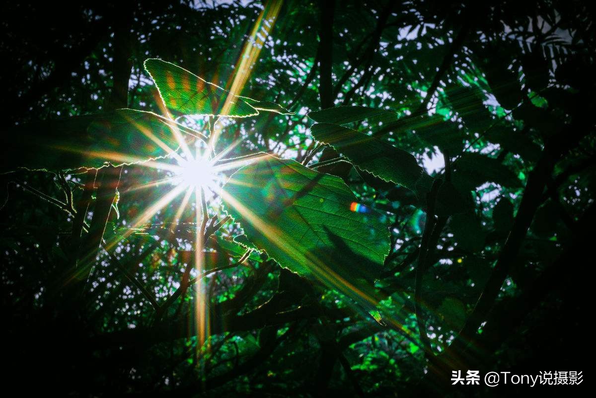 相机如何拍星芒的拍摄技巧,苹果手机星芒的拍摄技巧