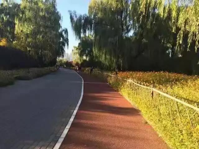 望京体育公园好去处,适合游玩健身的好去处