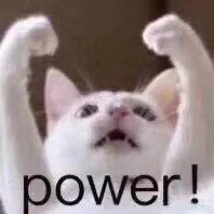 猫粮到底是什么味道,偷尝了一口,噫……