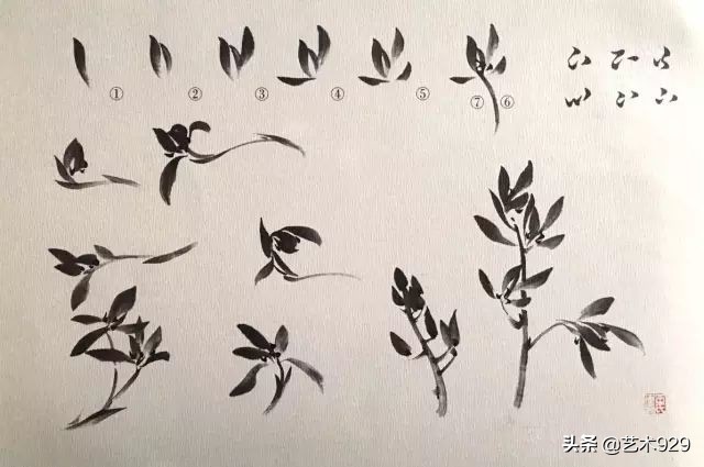 国画兰花画法免费技法教程,国画兰花绘画图