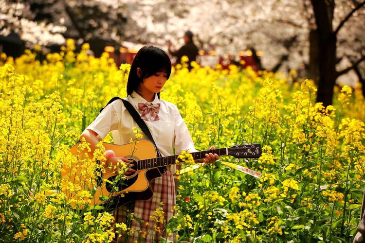 鑻遍泟褰掓潵妯辫姳鏈夌害,妯辫姳鐩涘紑鑻遍泟褰掓潵瀹屾暣瑙嗛