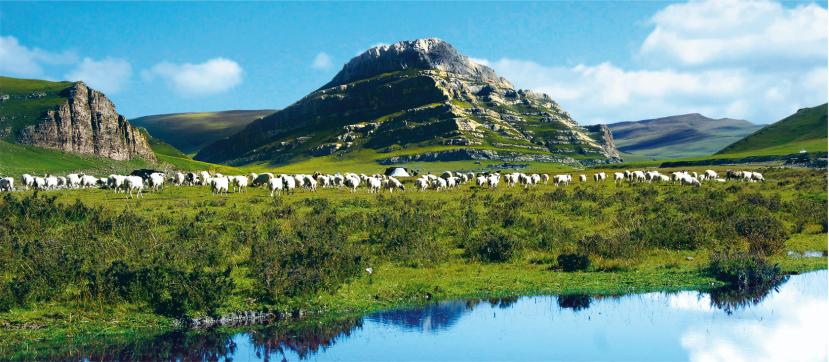 天峻风景美图集,天峻旅游排行