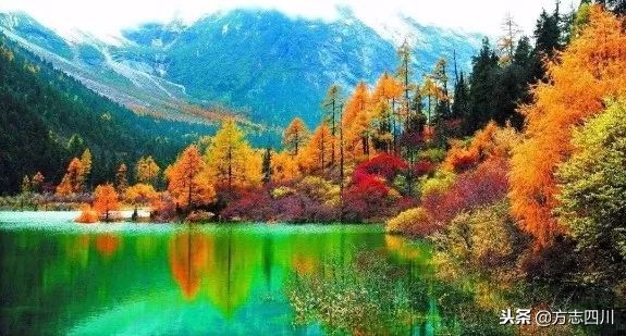 四川改革开放的案例,四川的改革开放成绩