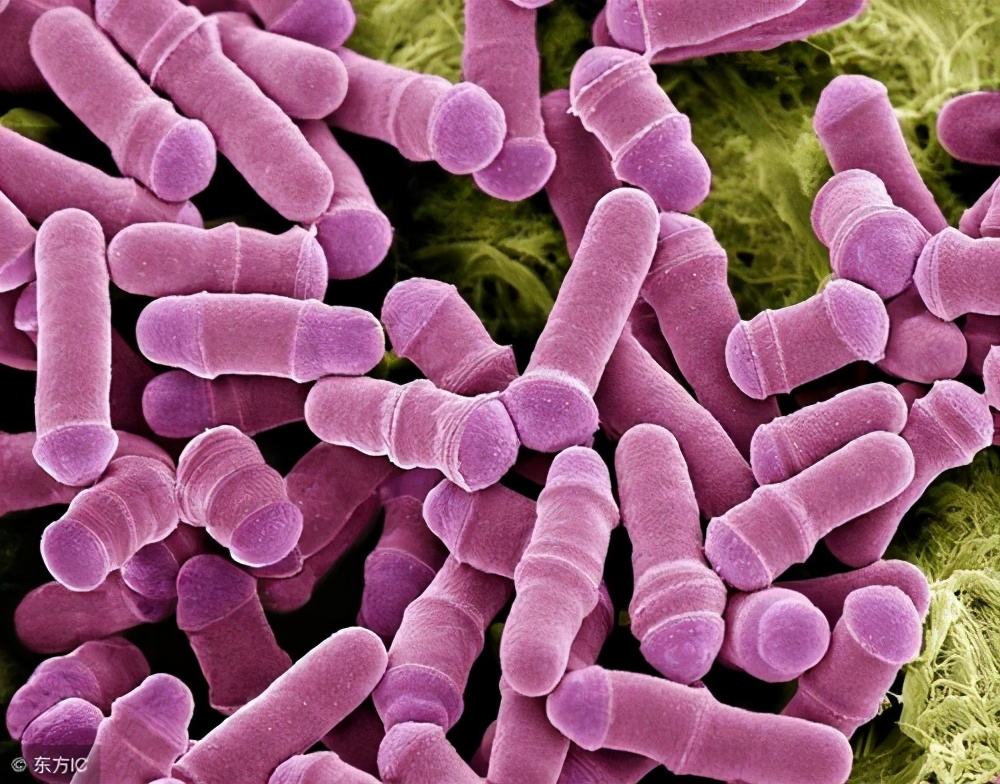 如何证明自己没有脚气？区区“脚气”，需要吃药治疗吗？